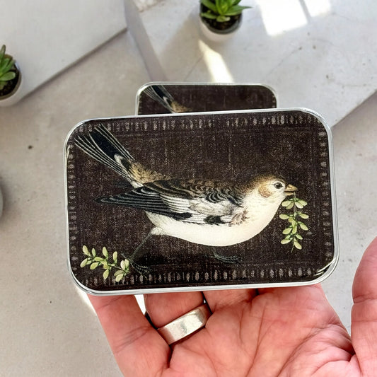 Birdsong | Notions Tin