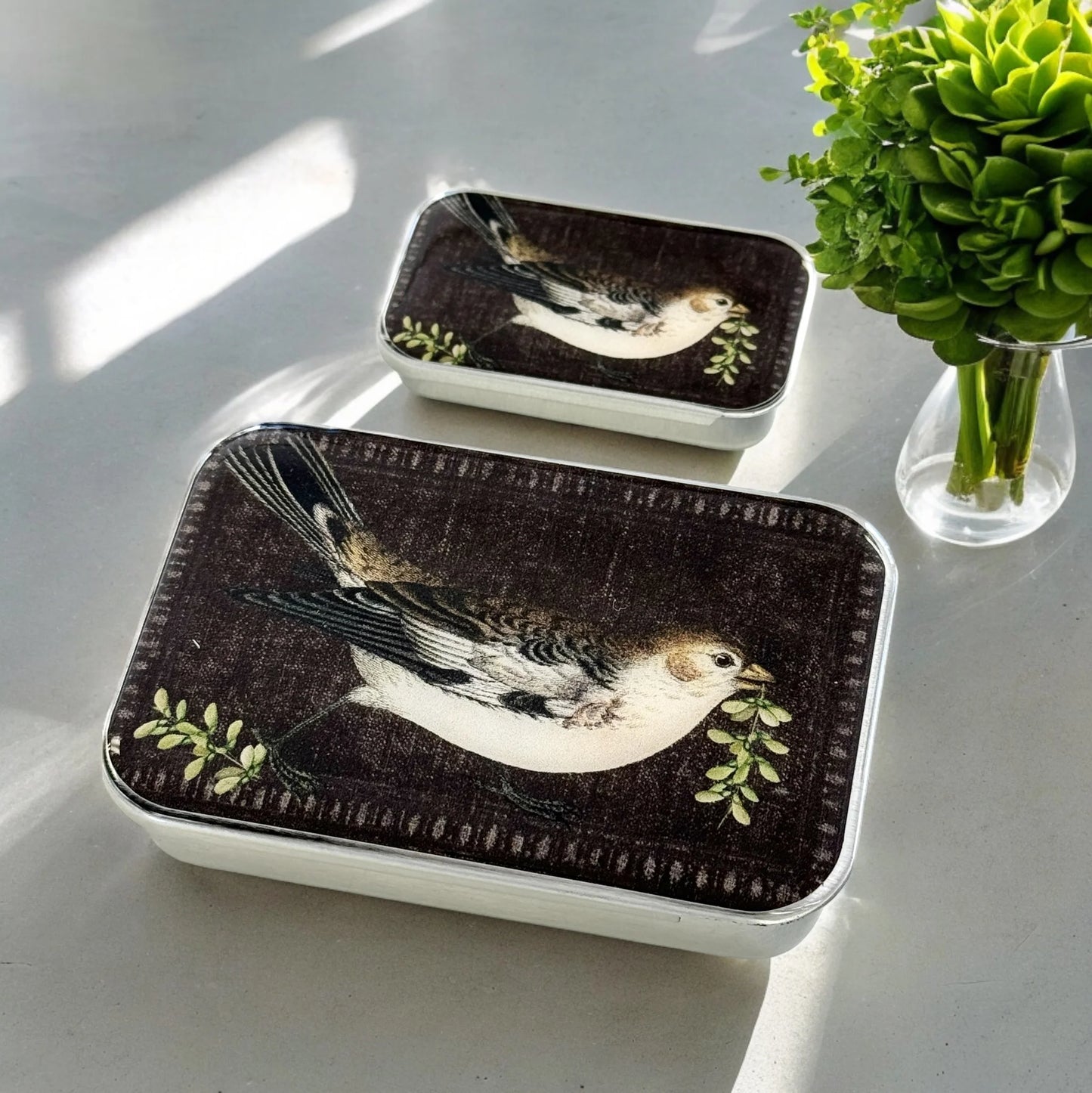 Birdsong | Notions Tin