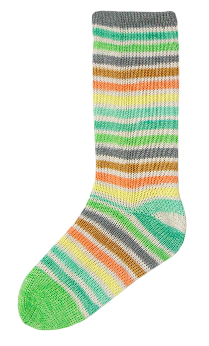 Evolution Cotton Sock | Fingering | Cotton, Nylon