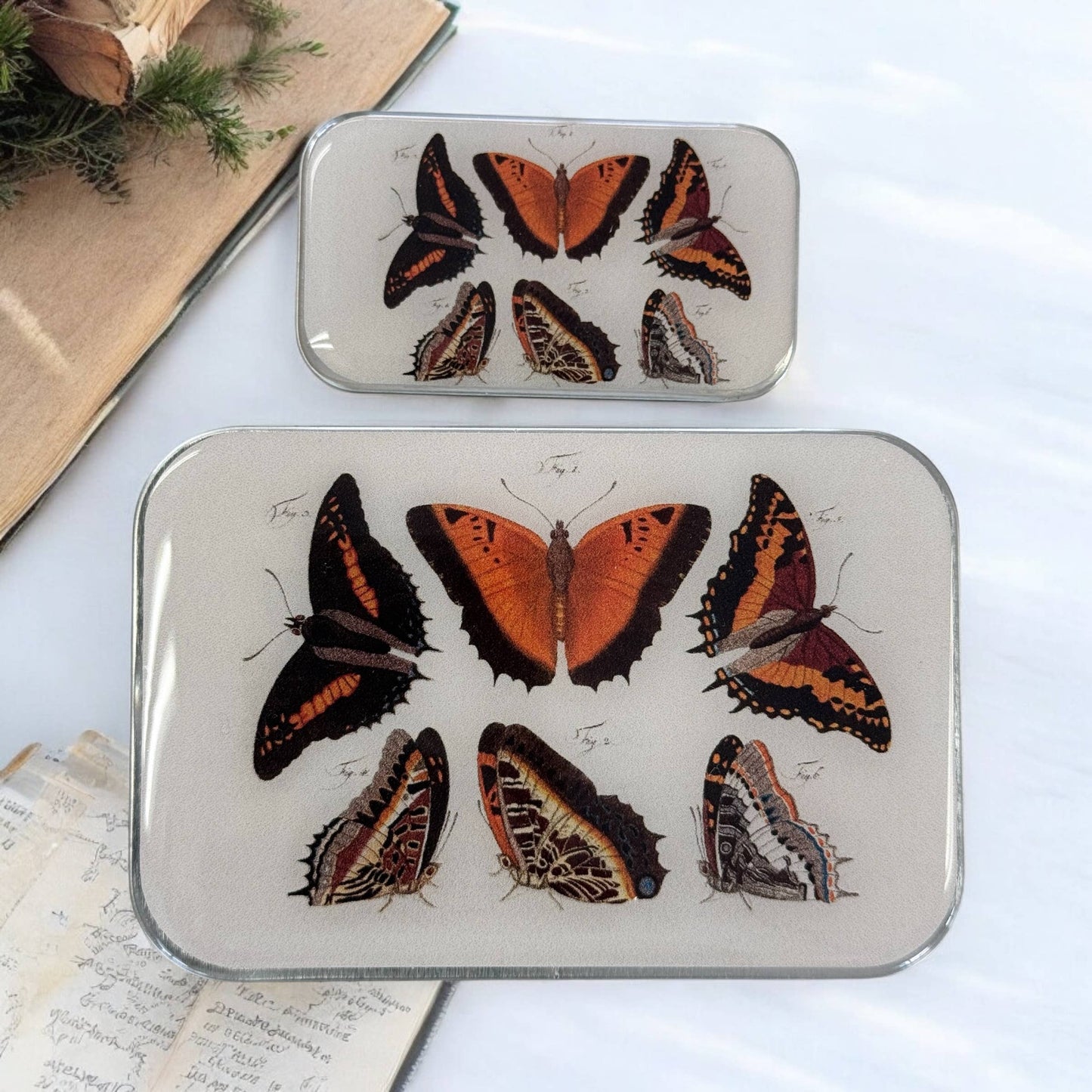 Orange Butterflies | Notions Tin