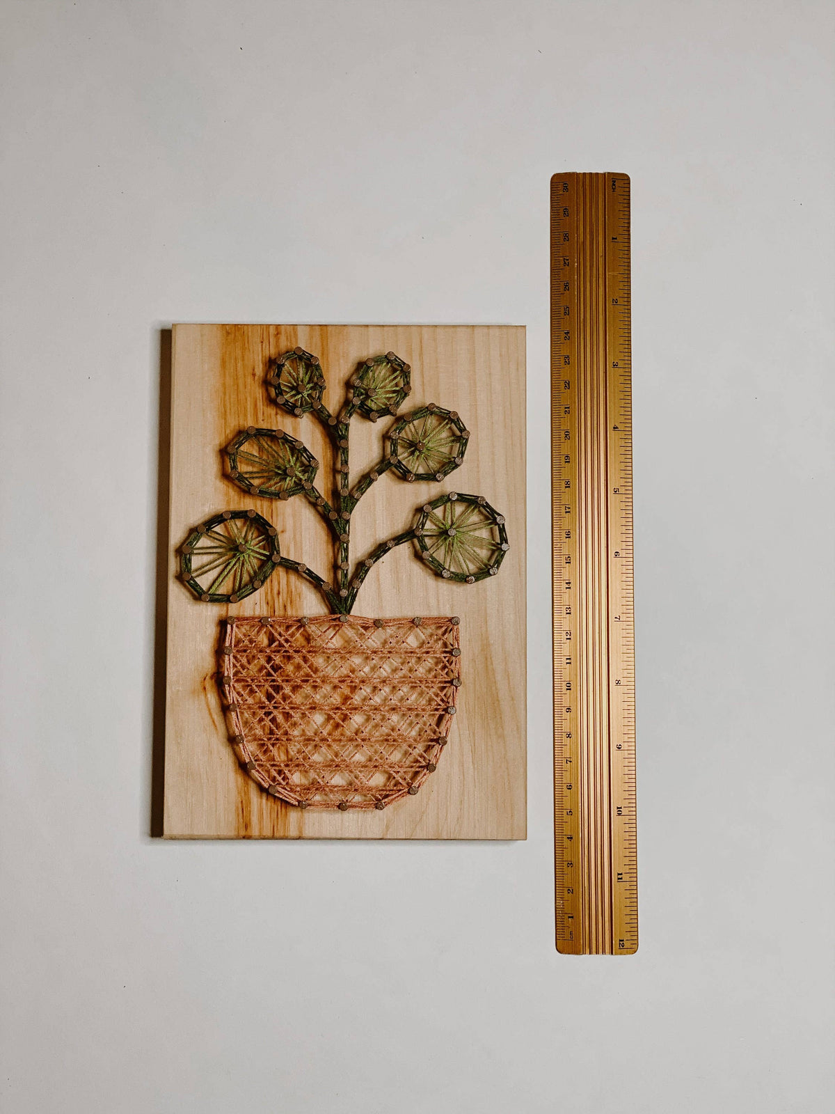 Pilea Plant DIY String Art Kit