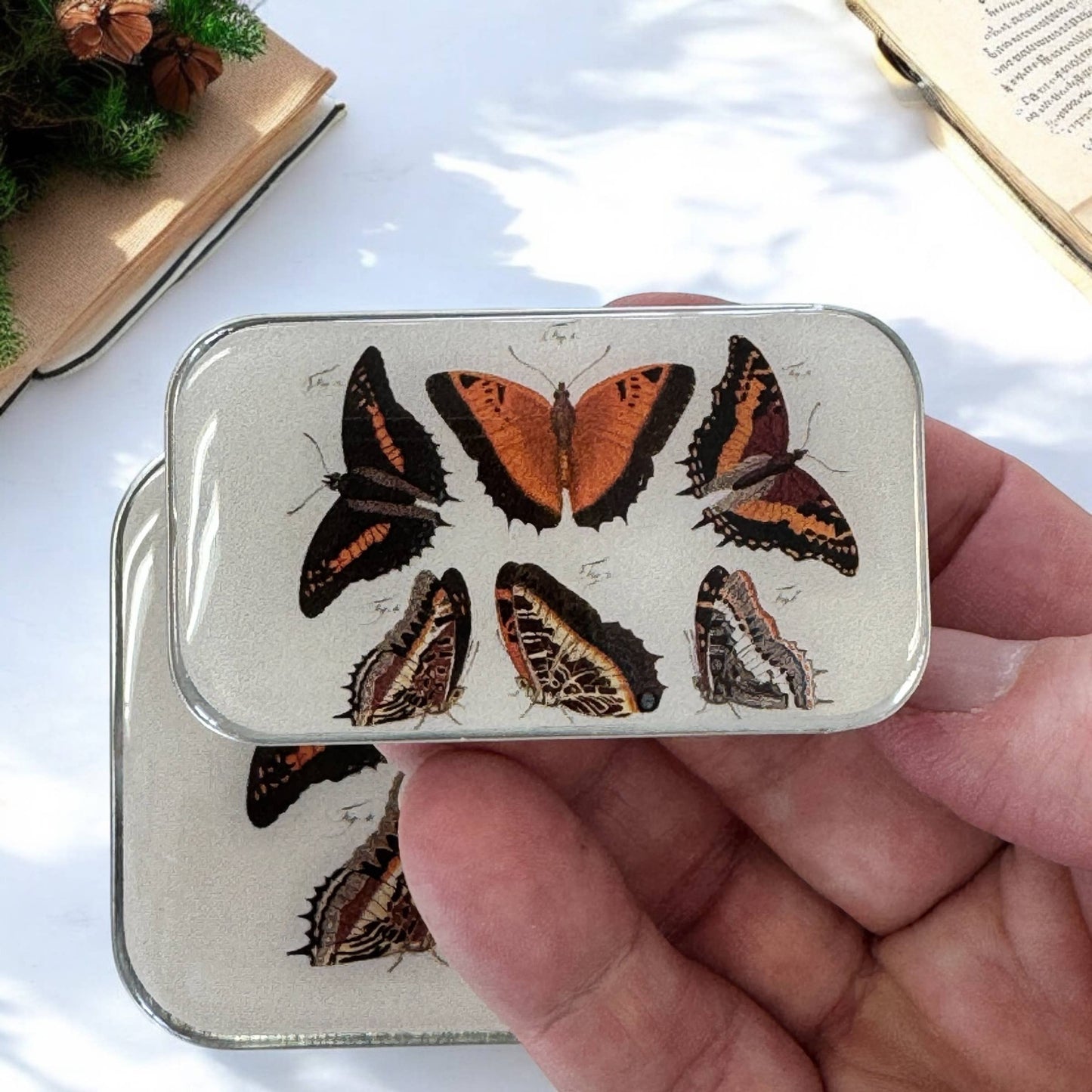 Orange Butterflies | Notions Tin
