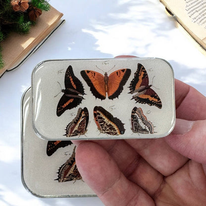 Orange Butterflies | Notions Tin