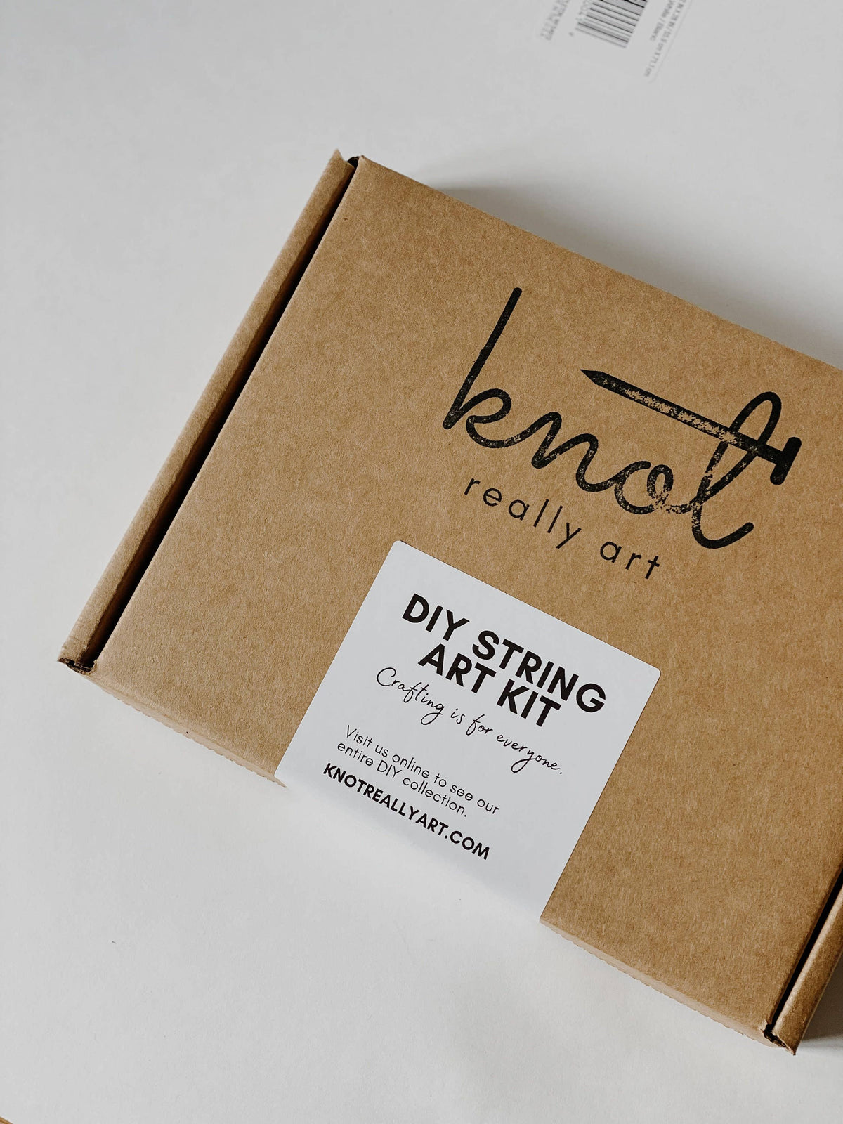 Pilea Plant DIY String Art Kit