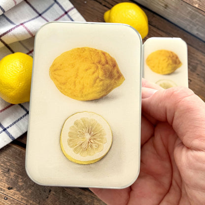 Botanical Lemon | Notion Tin (Large)