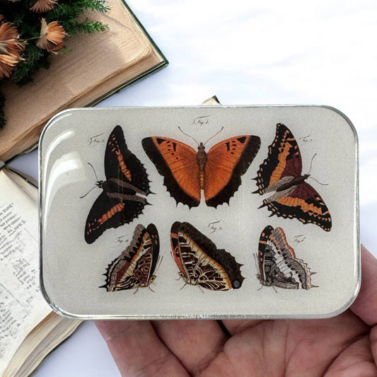 Orange Butterflies | Notions Tin