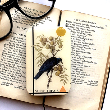 Crow Shiny Things | Notions Tin